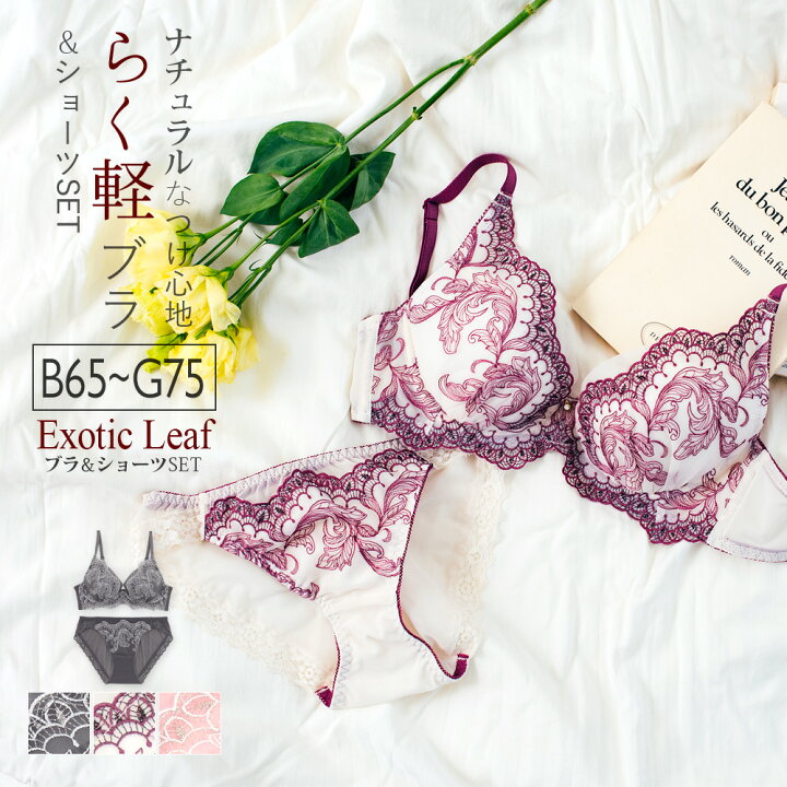 楽天市場 Exotic Leaf エキゾチックリーフ ブラ ショーツセット フラン レディース 下着 ブラジャー セット ブラショーツ ブラセット ブラジャー 大きいサイズ 大人 フラン デ ランジェリー楽天市場店
