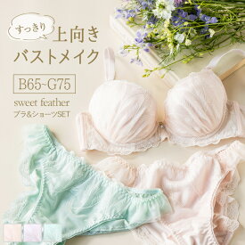sweet feather　〜 スイートフェザー 〜　ブラ&ショーツセット 上下セット フラン レディース 下着 ブラジャー セット ブラショーツ ブラセット ブラジャー