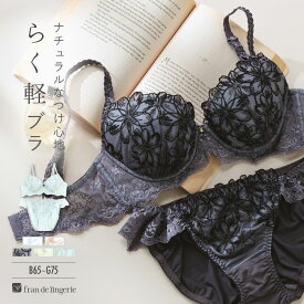 ブラジャー ショーツ セット 下着 レディース ブラジャーセット ブラセット 女性 上下セット セクシー かわいい 谷間 フランデランジェリー nd002p244c ナチュラルデイリーブラ002 ペアブラジャー（ワイヤー有り）