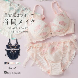 ブラジャー ショーツ セット 下着 レディース ブラジャーセット ブラセット 女性 上下セット セクシー かわいい インナーセット フランデランジェリー wf005p251c ペアブラジャー（ワイヤー有り）