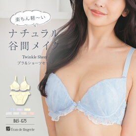 ブラジャー ショーツ セット 下着 レディース ブラジャーセット ブラセット 女性 上下セット かわいい フランデランジェリー fb083p173c トゥインクルシアー