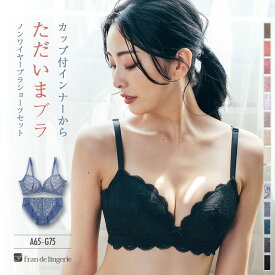 ノンワイヤーブラ セット ショーツ ブラセット 盛れる 育乳ブラ 脇高 レース 谷間 寄せる 小胸 レディース 下着 送料無料 スタイルアップ ブラショーツセット fi026p202e