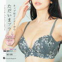 ブラジャー ショーツ セット 下着 レディース ブラショーツ ブラセット ショーツセット バックレース バック透け 脇高 ノンワイヤー 盛胸 刺繍 セクシー フランデランジェリー fran