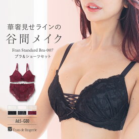 【本日P5倍】 ブラジャー ショーツ セット 下着 レディース ブラジャーセット ブラセット 女性 上下セット セクシー かわいい フランデランジェリー fi103p251a フランスタンダード007