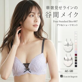 ブラジャー ショーツ セット 下着 レディース 上下セット ワイヤーブラ ペアブラジャー ブラセット 女性 かわいい 谷間 育乳 脇肉 盛れる フランスタンダード007 フランデランジェリー fi103p251a