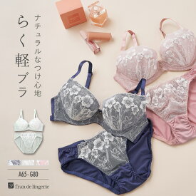 【本日P5倍】 ブラジャー ショーツ セット 下着 レディース ブラジャーセット ブラセット 女性 上下セット セクシー かわいい インナーセット 谷間 育乳 脇肉 盛れる フランデランジェリー fi104p254c フランスタンダード008