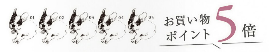 ＼お買い物ポイント5倍／