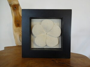 IuWF@Xg[IuWF@Xg[J[rO@Β@Α@vA@Ebht[@pX΁@AWAG݁@AWACeA