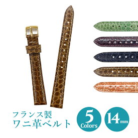 時計 ベルト 革 14mm ワニ革 腕時計ベルト バンド 時計ベルト 替えベルト 交換 牛革 本革