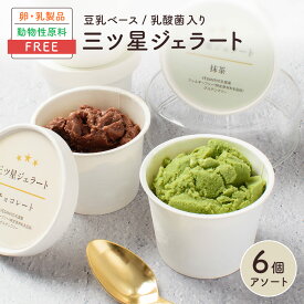 三ツ星ジェラート 6個入【チョコレート・抹茶 各3個】アイス 詰め合わせ / 無添加 卵 乳 不使用 アレルギー ベジタリアン ヴィーガン ハラル グルテンフリー オーガニック 豆乳 / ギフト 贈答 お中元 プレゼント 内祝い
