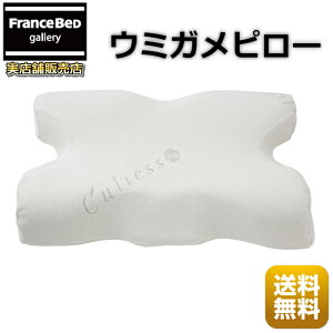 フランスベッド 新商品 ウミガメピロー マルチに使える快適枕【送料無料】話題の低反発枕 除菌機能糸アグリーザ仕様