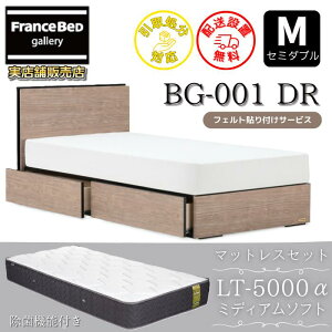 �t�����X�x�b�h �x�b�h�t���[���}�b�g���X�Z�b�gBG-001 �����o���t�� �Z�~�_�u�� LT5000 �~�f�B�A���\�t�g�t���y�J���g���ݒu�����zDR�^�C�v ���o���[�t�� ���ێd�l