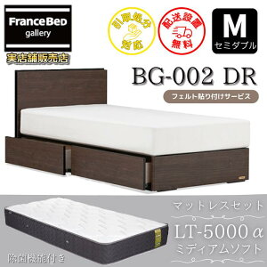 �t�����X�x�b�h �x�b�h�t���[���}�b�g���X�Z�b�gBG-002 �����o���t�� �Z�~�_�u�� LT5000 �~�f�B�A���\�t�g�t���y�J���g���ݒu�����zDR�^�C�v ���o���[�t��