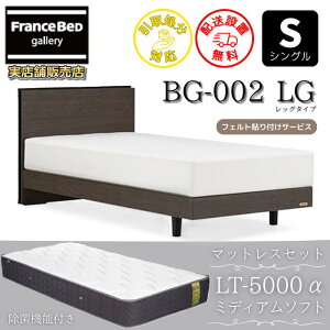 �t�����X�x�b�h �x�b�h�t���[���}�b�g���X�Z�b�gBG-002 LEG �V���O�� LT5000�t���y�J���g���ݒu�����z���b�O�^�C�v �r�t���x�b�h�t���[���}�b�g���X LT-5000�� S �~�f�B�A���\�t�g