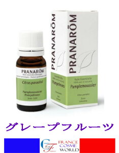 yKizvi O[vt[c 10mL P^Cv GZVIC A} A}IC P\[ bNXn[u COʔ  tX蒼PRANAROM PRANAROM HUILE ESSE