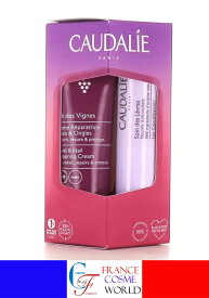 【正規品】コーダリー CAUDALIE テ・デ・ヴィンニュ ハンド アンド ネイル トリートメントクリーム リップスティック セット 30mL+4g ハンドケア ネイルケア リップケア 乾燥 乾燥対策 プレゼント ギフト プチギフト お誕生日 友だち ごほうび フランス 海外通販 送料無料