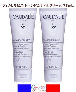 yKizR[_[BmZsXg nh Ah lC g[gg N[ 75mLx2{Zbg ێ N[ nhPA lCPA {fBPA COʔ  tX