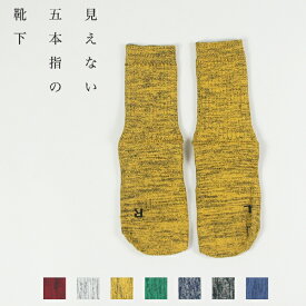 見えない五本指の靴下 / REGULAR レギュラー丈 (700086156) (日本製) (ユニセックス) (ネコポス対応) (5%COUPON)