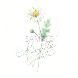 gR[ |XgJ[h / tX p {^jJA[g  t[ t[`[t J[h bZ[WJ[h O[eBOJ[h Gt G͂ t nKL CXg  