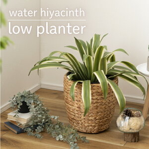 v^[  AWA ϗtA A EH[^[ qVX G CeA  uE ҂  ~^ 7 8 9 sOSt