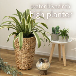 v^[  AWA ϗtA A EH[^[ qVX G CeA  uE ҂  [ ^ 5 7 9 sOSt