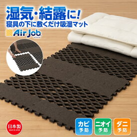 日本製 6枚組 ブロックタイプ 除湿シート 吸湿ブロック型マット 湿気対策 結露 結露対策 シングル すのこ型 除湿マット すのこマット すのこ型吸湿マット 消臭 吸湿 防ダニ 抗菌防臭 エアジョブ マックス 除湿マット マットレス 東洋紡 インエグジット