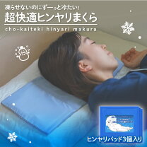 楽天市場】室蘭 ひゃっこい枕マット アイスジャパンの通販