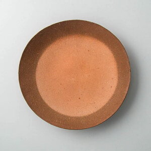 �����ؑ� ���O�� Thin plate LL 04