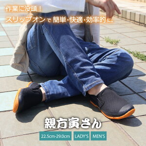 y 10/30E31P2{N[| zeЂ fB[X Y jp XbvI^Cv ƌC  n y _ Ɨp K[fjO DIY K[fjO  RۖhL  E