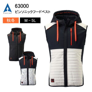 hxXg xXg ƒ h h H~ A^bNx[X 63000 h h y N xXg |GXe   x[W ubN yCgO[ ނ K[fjO DIY H ~