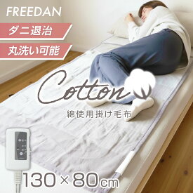 電気毛布 電気敷毛布 敷 電気敷き毛布 敷パット 綿混 綿 小さめ 約130×80cm 洗える ダニ退治機能 グレー ボーダー 温度調節 省エネ 電気しき毛布 送料無料 節電 ギフト プレゼント 誕生日 FCE401H-H フリーダム パーソナル暖房 車中泊 キャンプ
