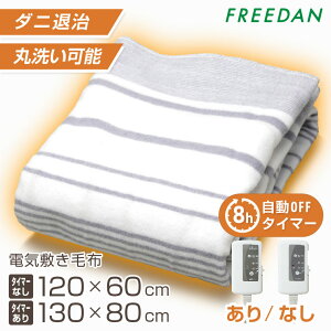 ［早割り10％OFFクーポン★3連休限定］電気毛布 敷き 電気敷き毛布 洗える タイマー 起毛 薄手 小さめ コンパクト