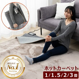 ホットカーペット 電気カーペット 1畳 1畳正方形 1.5畳 2畳 3畳 176×88 125×125 176×128 168×168 235×176cm 電気マット 電気ホットカーペット 温度調整 ダニ退治 コンパクト収納 フリーダン 楽天スーパーセール