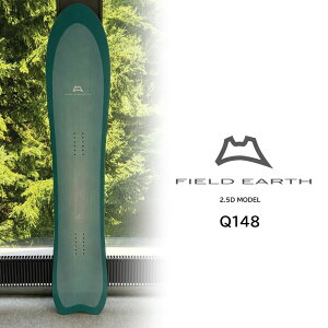 �t�B�[���h�A�[�X FIELD EARTH Q148 �p�E�_�[�{�[�h �J�[�r���O �t���[���� 2.5D MODEL ���f�B�[�X