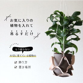 楽天市場 ハイドロカルチャー 鉢 ガラス 花 観葉植物 花 ガーデン Diy の通販
