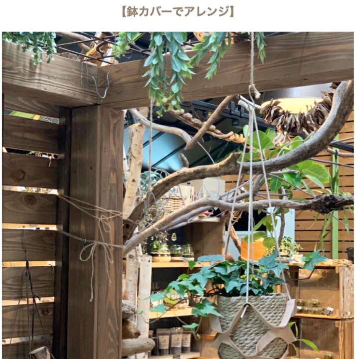 楽天市場 本革 プラントハンガー ハンギングプランター ハンギング ハンギンググリーン 鉢 植木鉢 観葉植物 吊り下げ 吊るす 植物 ハンギングバスケット 吊り下げ プランター オシャレ インテリア 室内 おしゃれ 可愛い 本革 革 レザー Freaks Co 日本製 手作り革 楽天市場 本革 プラントハンガー ハンギングプランター ハンギング ハンギンググリーン 鉢 植木鉢 観葉植物 吊り下げ 吊るす 植物 ハンギングバスケット 吊り下げ プランター オシャレ インテリア 室内 おしゃれ 可愛い 本革 革 レザー Freaks Co 日本製 手作り革