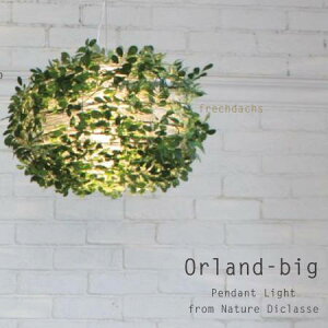 yTtzy_gCg I[hrbO tFCNO[ fUC i` {^jJ 킢 qbQ ؘR  |V[O LEDΉ CeA _CjO Q 