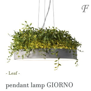 y[tzƖ y_gCg V[OCg VƖ Wm GIORNO _ Vv  LED Rt X`[   i` O[ Q rO _CjO 