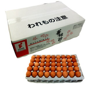 �y���������z�ؖ��� M�T�C�Y90��(����ۏ�8�܂�)�k�L���̎��R�L���ȓy�n�Ō��₩�Ɉ�����{���Y�񂾁A�܂�₩�ȃR�N�Ǝ|�݂̂��邽�܂�