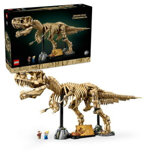 S(LEGO) ̉ T-bNX 76968 Ki  ubN j̎q ̎q 18Έȏ