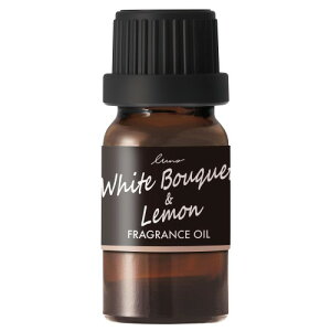 J[Cg(CARMATE) ԗp p ItBXp tOXICm zCgu[P  ̍ ntOXfBt[U[ p F L10056