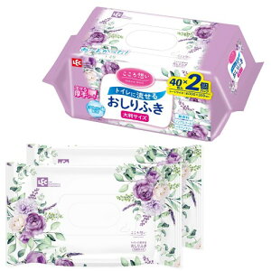 レック(LEC) こころ想い 大人用 トイレに流せる おしりふき 大判サイズ (30×20cm) 40枚×2P / 丈夫なシートでしっかり拭ける/日本製/無香料/ヒアルロン酸配合