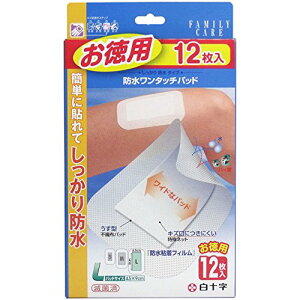 pbg̃ChŕL \ t@~[PA h^b`pbh p LTCY 12