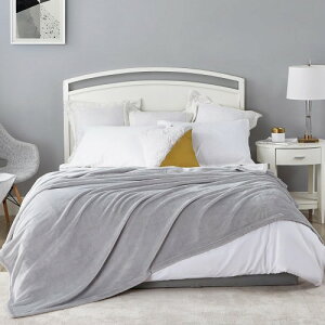 Hansleep �ѕz ������ �_�u�� �ėp �u�����P�b�g �傫�� 180x200cm �唻 �}�C�N���t�@�C�o�[ �_�炩�� ���G�� �t�����l�� �􂦂� �y�� �Ód�h�~ �l�G�K�p (180x200,�A�C�X�O���[)