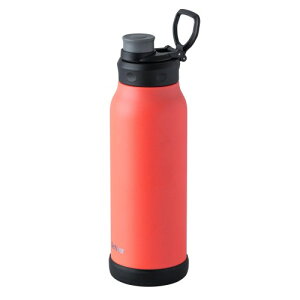 AgX  1bg  ۗ ^fM X|[c{g y X|[chNΉ e ^тɕ֗ nht _CNg{g ANeBo uCgIW ADHB-1000BROR