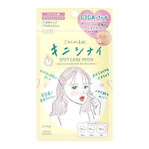 NA^[ ߂ˑf LjViCpb` X|bg CICA 46 jLrPA T`_ iCAVA~h VJz ڗȂ KOSE