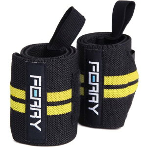 (tF[) FERRY Xgbv EGCgg[jO Œ i2gj ubN/CG[