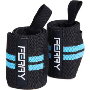 (tF[) FERRY Xgbv EGCgg[jO Œ i2gj ubN/u[