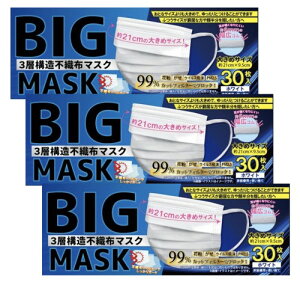 BIG}XN  傫߃}XN 30x3 rbOTCY 21cm LS6mm 3wsDz}XN