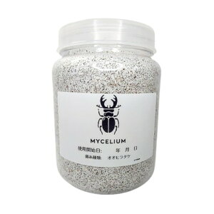 MYCELIUM ێr800cc IIq^P zCg 񎟔 NK^cp ^`^i7.5cmȏj 򉻂Â炢 NA{g ώ@\ ʋCtB^[ SҌ {